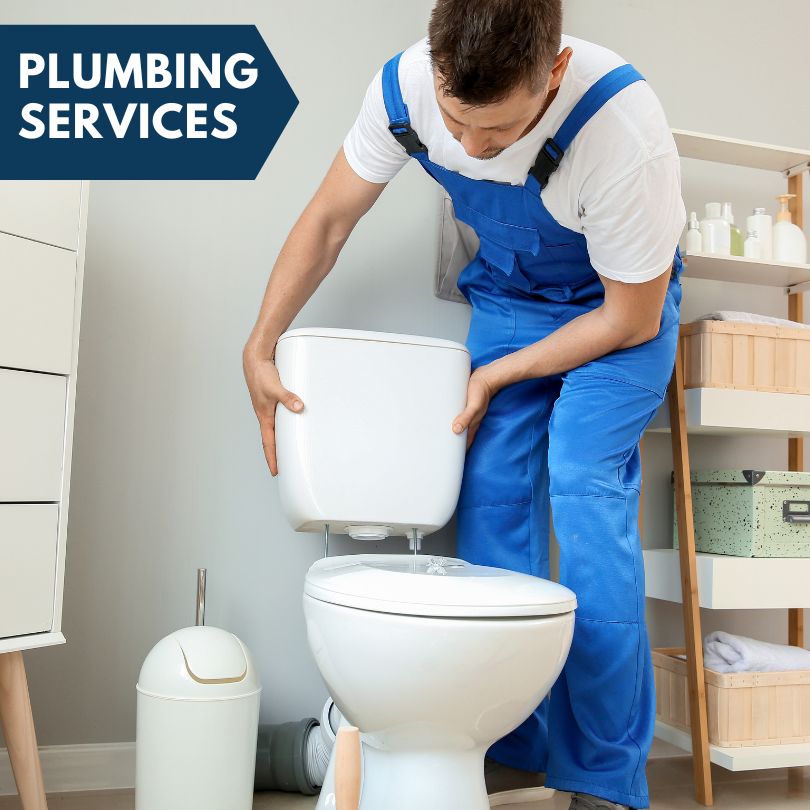 Plumbing Company in Engadine, MI